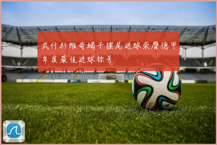 武什科维奇蝎子摆尾进球荣膺德甲年度最佳进球称号