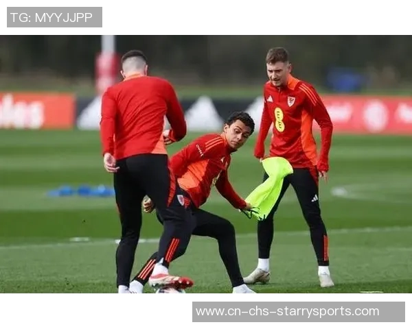 比利时主帅坚定信念力争胜利不惧平局挑战 比利时主帅坚定信念力争胜利不惧平局挑战